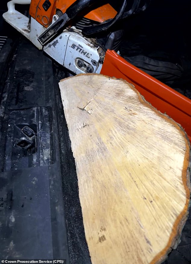 An image found on Daniel Graham's phone of a chainsaw and wedge from the tree in the boot of his car