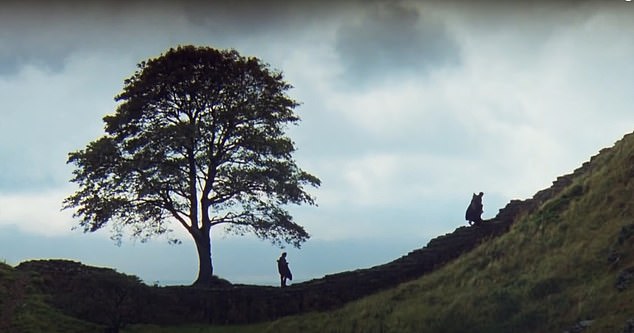 Costner, who plays the protagonist, and Freeman, who plays warrior Azeem, visit the tree in the movie