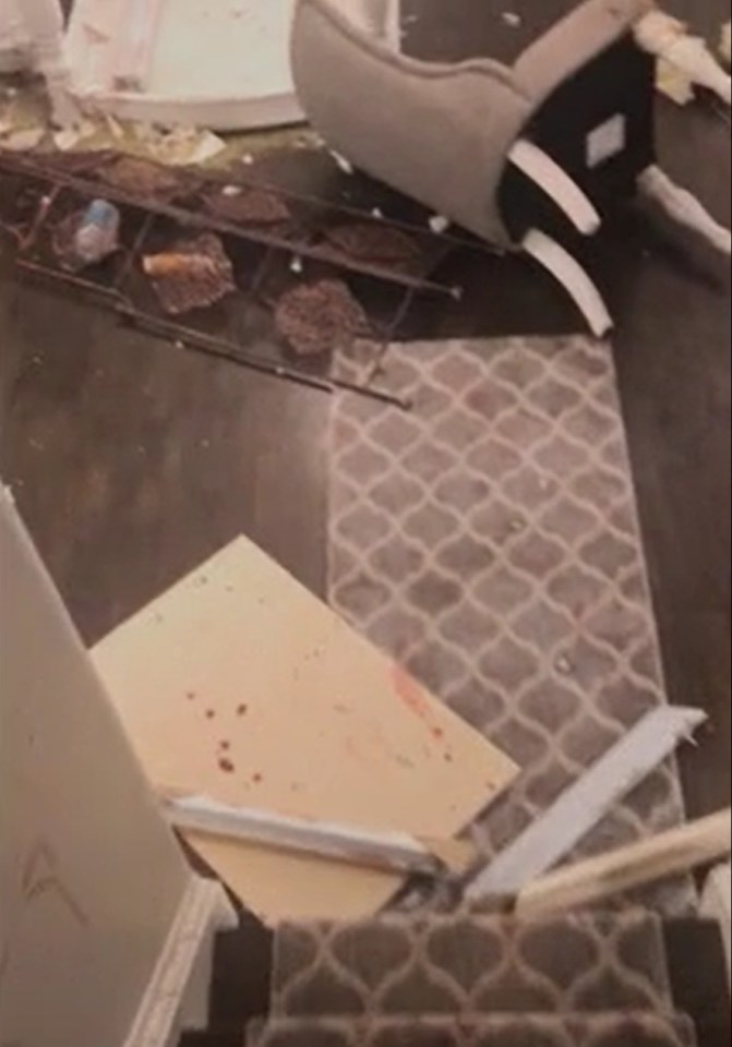 Debris on the floor after an apparent accident; text overlay reads "I grabbed Chester."