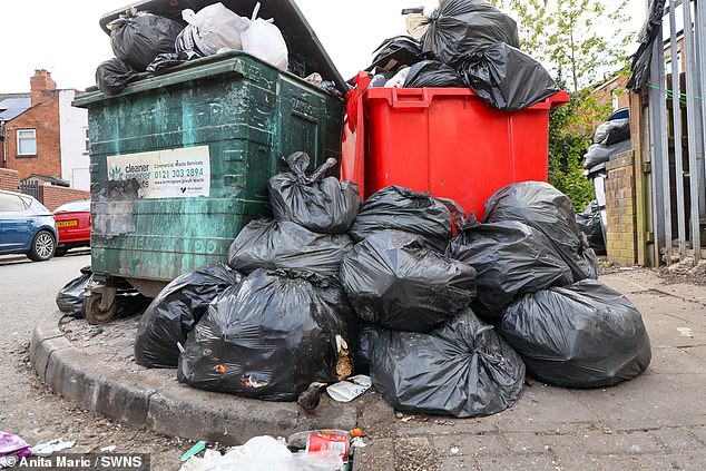 Rubbish piling high in Birmingham following weeks of strikes by bin workers over pay