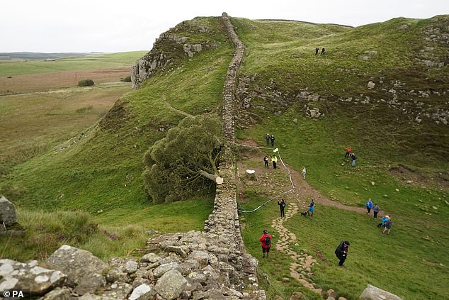 Walkers stop to look at the tree next to Hadrian's Wall in Northumberland after it has been cut down