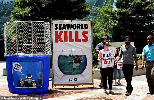 Campaigners from animal rights charity PETA are seen urging passers-by not to buy tickets to SeaWorld in June 2019 in Orlando, Florida