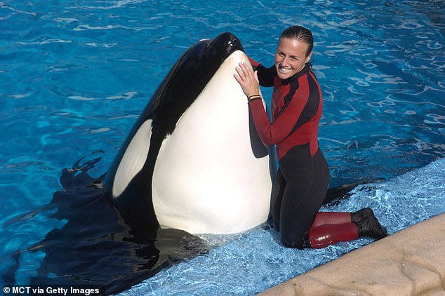 Tragic Dawn Brancheau, a whale trainer at SeaWorld Adventure Park, is seen here performing on December 30 2005 at Seaworld's theme park in Orlando, Florida