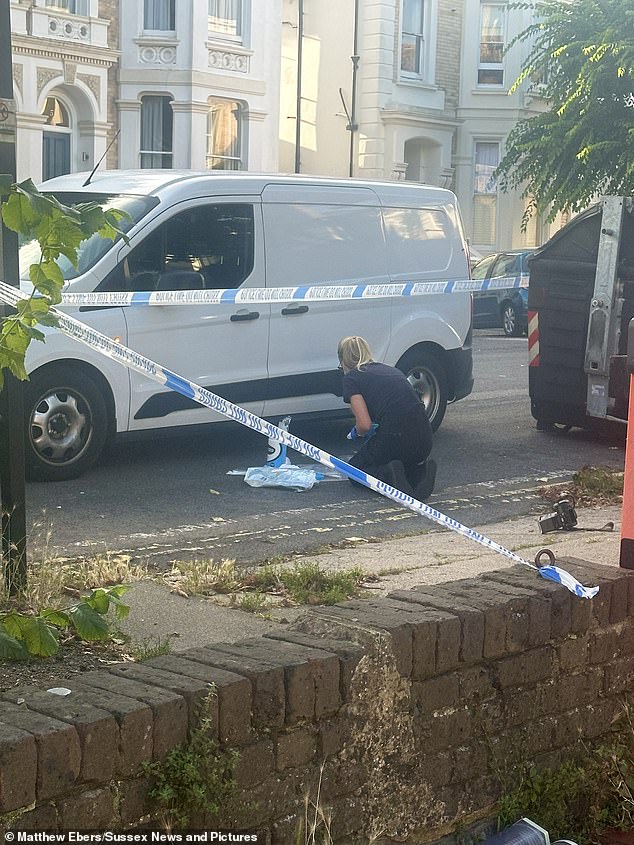 Police were called to the scene (pictured) after the kidnapping was thwarted by the young woman punching her attacker until he let her go