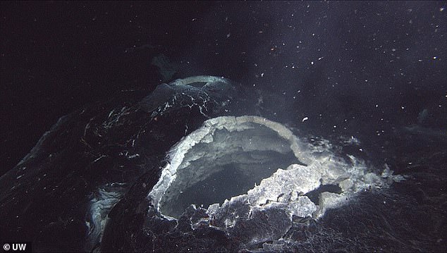Scientists monitoring this volcano have detected a key sign that it is about to erupt: inflation of the seafloor. Pictured is the opening of the volcano