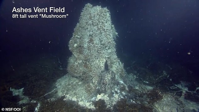 If Axial Seamount does blow, it won't pose any threat human communities, experts say. It's too deep and too far from shore for people to even notice when it erupts, and it has no impact on seismic activity on land