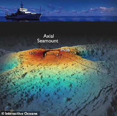 In November 2024, Oregon State University geophysicist William Chadwick started investigating the volcano when he noticed its surface had swelled to nearly the same height it reached before its last eruption 10 years ago