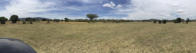 This is 'The Place', the name Julie's family have given to the grim and remote location where her father made the devastating discovery of all that remained of her: a jaw and lower left leg