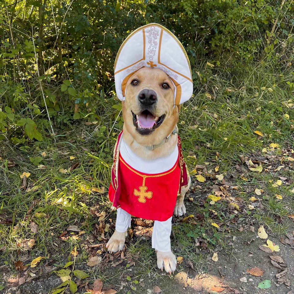 Dog dressed as the Pope.