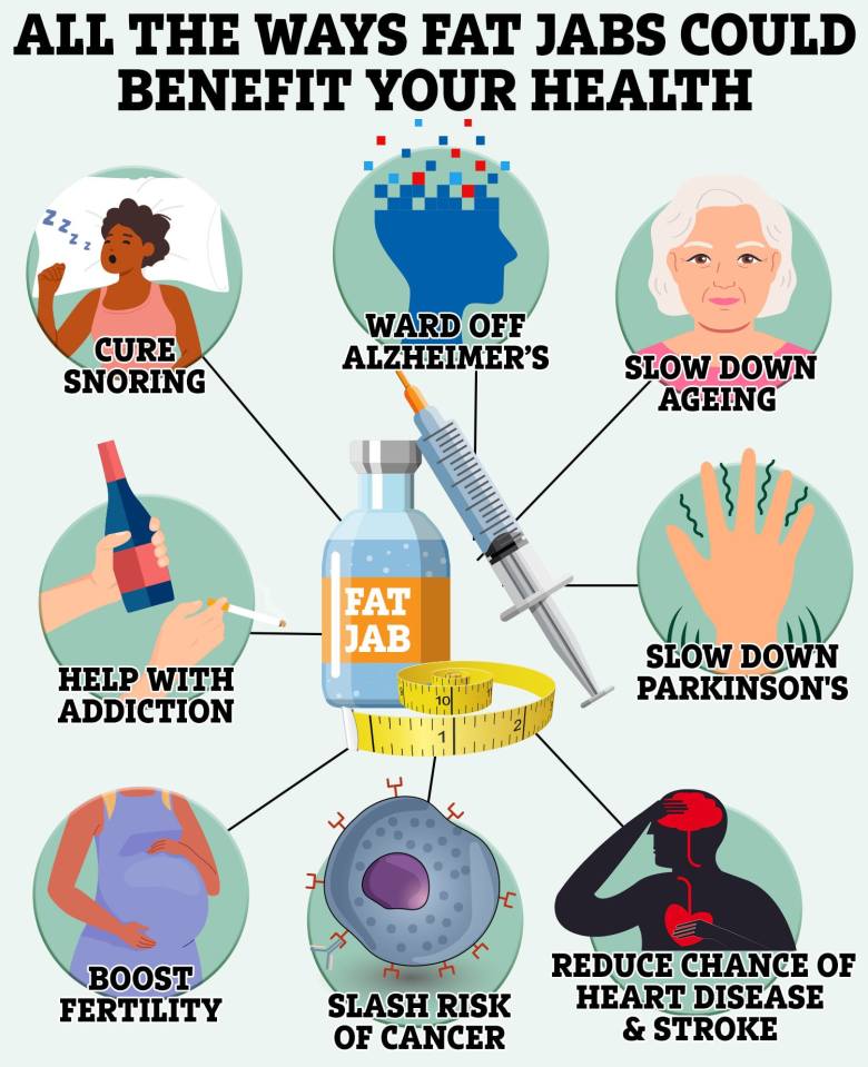 Illustration of how fat jabs could benefit health, including curing snoring, warding off Alzheimer's, slowing down ageing and Parkinson's, helping with addiction, boosting fertility, slashing cancer risk, and reducing the chance of heart disease and stroke.