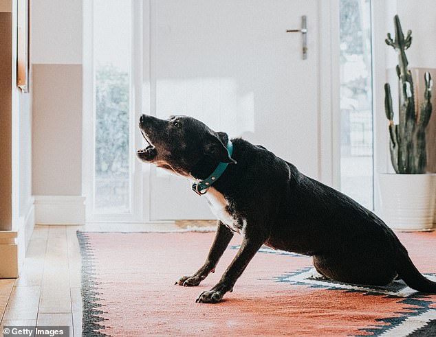 Outlined in the document, the system aims to gather a wide range of animal data -vocal sounds, behavioral patterns and physiological signals - which will be integrated and analyzed by an AI-drive engine to identify the animal's emotional state