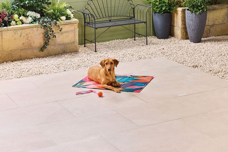 Dog lying on a patterned mat outdoors.