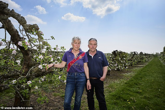 Horror: Jayne and Bruce Marshall could lose as much as 80 per cent of their farmland
