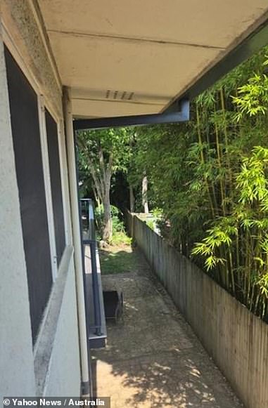 Having exhausted all other options, the Australian homeowner has now paid nearly $3,000 in legal fees to submit an application to the Land and Environment Court in a bid to get the plant forcibly cut back