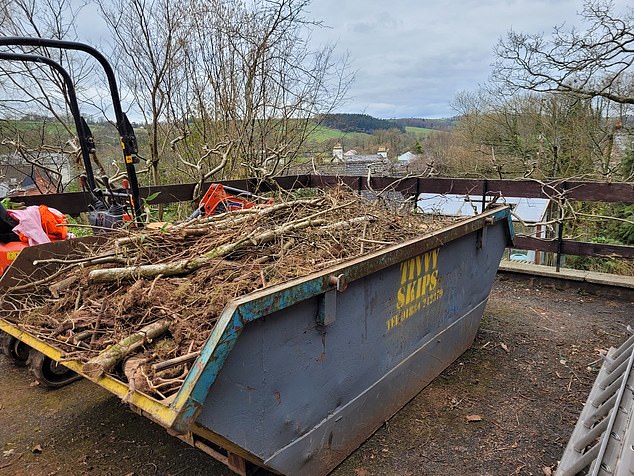It comes after MailOnline spoke to a woman, who chose to remain anonymous, that was told would cost an eye-watering £11k to remove 350 square metres of bamboo (pictured) with a ten year maintenance