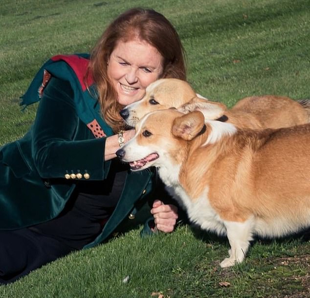 The Duchess of York with her two corgis - Sandy and Muick
