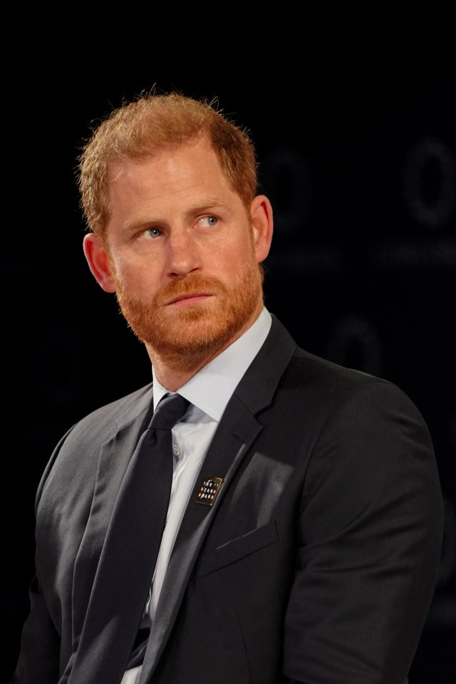 Prince Harry at a mental health panel.