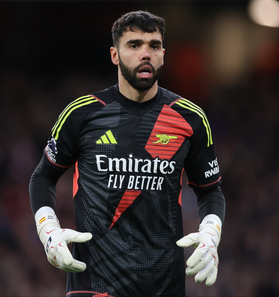 David Raya of Arsenal in his goalkeeper kit.