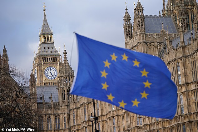 Brexiteers fear the term is code for a capitulation to the bloc ¿ despite Britain¿s vote to leave in 2016
