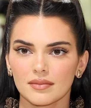 Kendal Jenner's fans have praised her on Instagram - with one fan saying that she uses the star as the ultimate plastic surgery inspiration