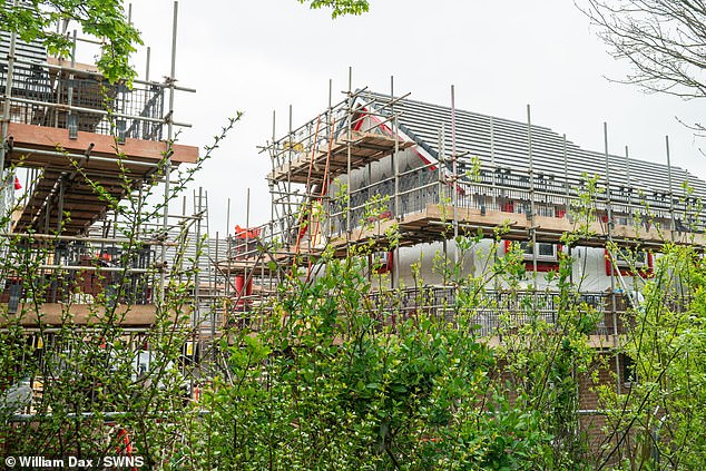 Tilia Homes' Cashmere Park development includes 129 two to four-bedroom homes