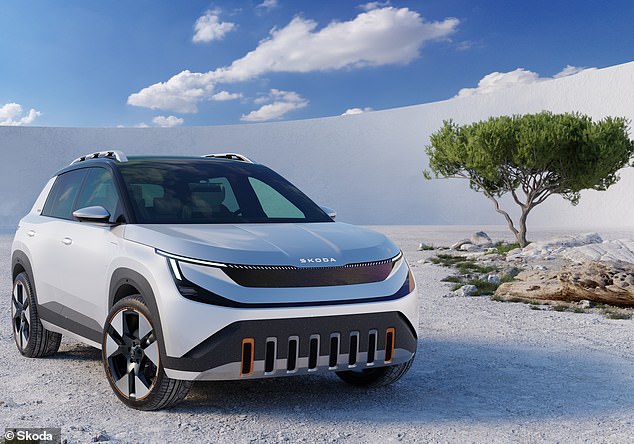 The Skoda Epiq - a city SUV crossover electric vehicle - is due to be fully unveiled in 2025. It will be the first Skoda EV to cost less than £30,000