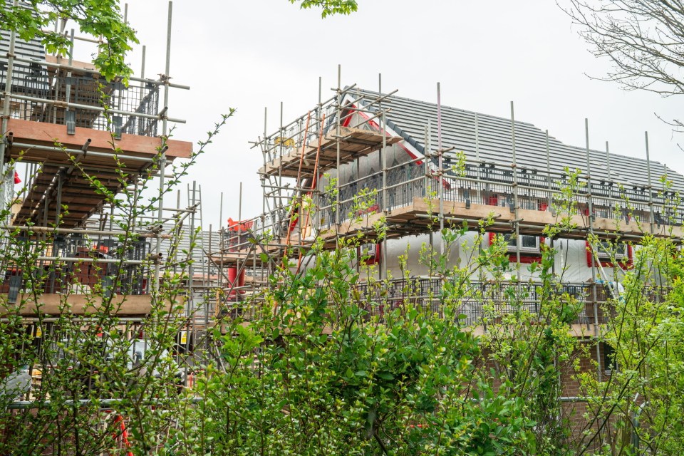 New houses under construction, viewed from behind a hedge.