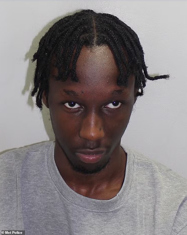 Hassan Sentamu (pictured) was convicted of murder by a jury following Elianne's death