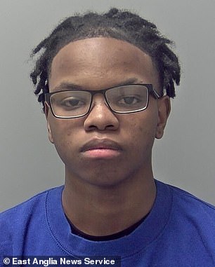 Joshua Howell (pictured) who has been convicted of the murder of Raymond James Quigley