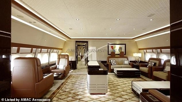 The interior of the plane is filled with plush carpeting and leather couches