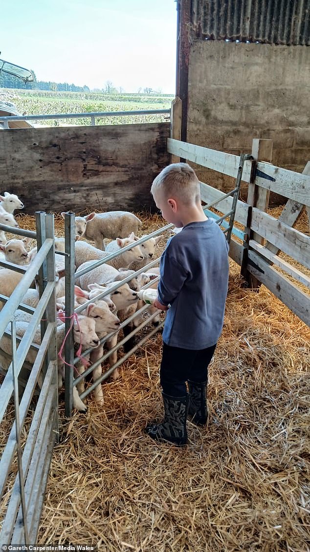 Michael (pictured) had become one of 73 others to have become infected with cryptosporidium, a sometimes deadly parasite, after attending the popular Welsh farm