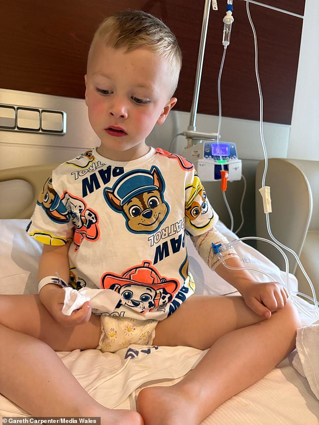 After three days in hospital battling what doctors believed to be a serious infection of sorts, Michael's anxious parents said they were driving themselves 'crazy', questioning what could have caused their son's sudden deterioration (Pictured: Michael while in hospital)