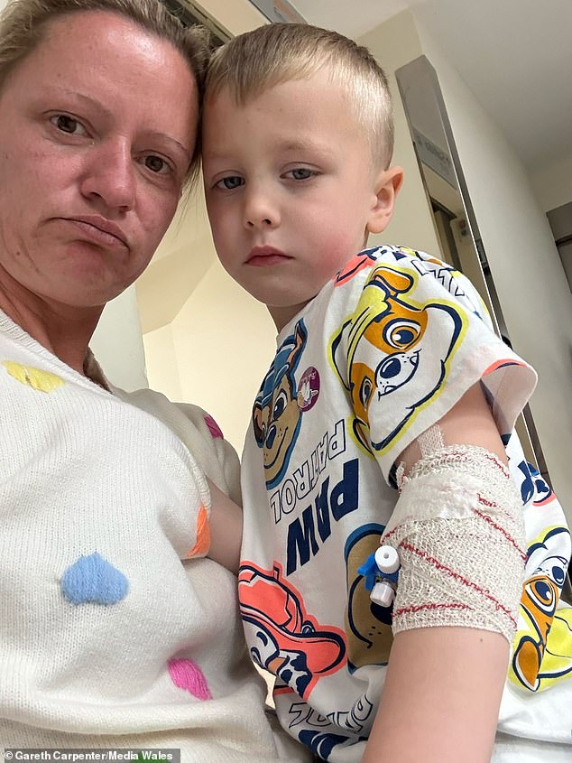 Following the outbreak, the farm Michael has stopped all feeding and petting sessions and are continuing to cooperate with the ongoing Public Health Wales (PHW) investigation (Pictured: Michael with his mother Ms Wiejak)