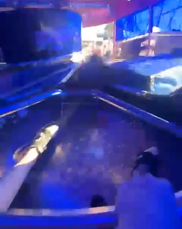 Things soon spiral out of control as the 'unthinkable' happens and the circular vehicle goes flying