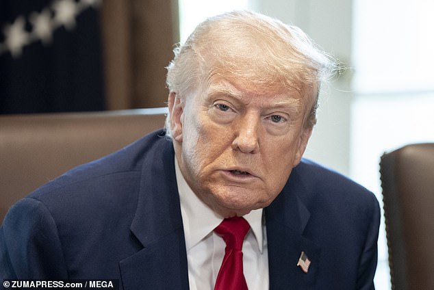 In February Trump issued an executive order accusing South Africa's government of seizing land from white farmers without any compensation, an allegation denied by Cape Town