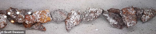 These flecks of oxidized metal, known as hammerscale, are the 'smoking gun' evidence of what happened to the Roanoke settlers, says Horton