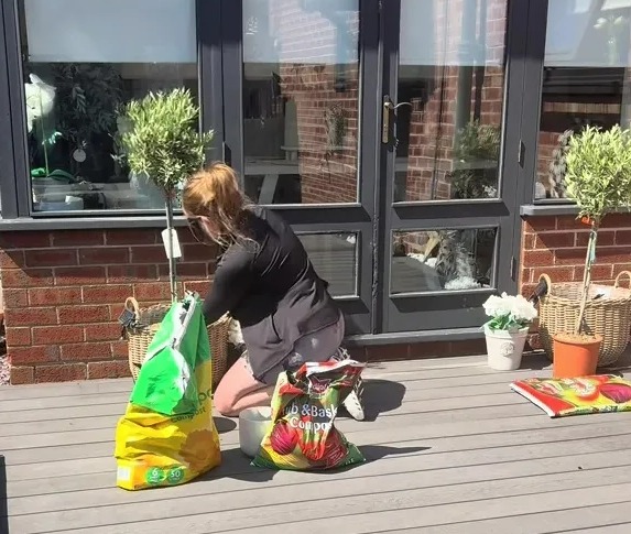Person planting a Mediterranean plant on a deck.