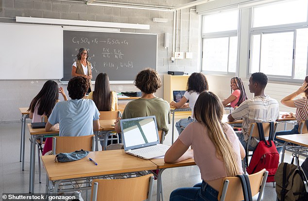 Hannah teaches in a district where every student from sixth to twelfth grade is issued an iPad . She believes the device has become a weight dragging down standards of education (file pic)