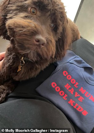 Molly shared a sweet snap of a pet pooch