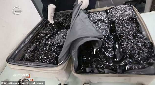 Alleged suitcase of British citizen Bella May Culley, 18.
