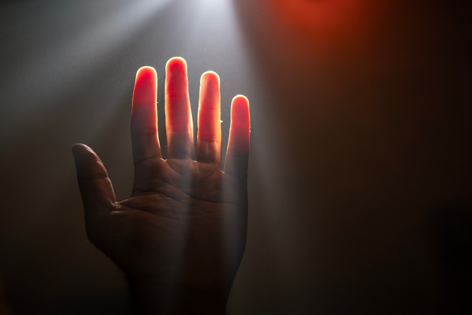 Hand backlit by sunlight.