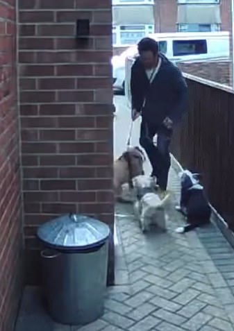 The video, which has sparked outrage among dog lovers, has gone viral on social media