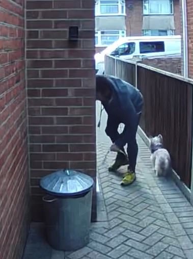 Mr Johnston can be heard shouting 'f****** stupid' as he pulls the third pooch into the property