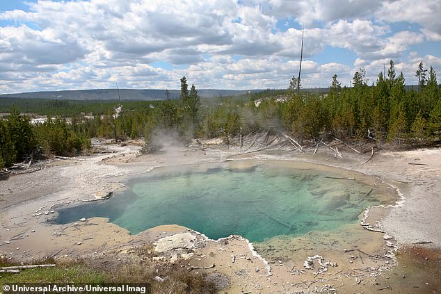 There are more than 10,000 active hydrothermal features throughout Yellowstone, including hot springs, mudpots, fumaroles and geysers. Pictured is Mammoth Hot Spring