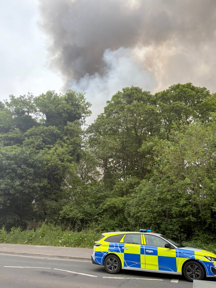 Police car near a large fire.