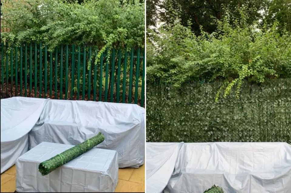 privacy-fence-wayfair