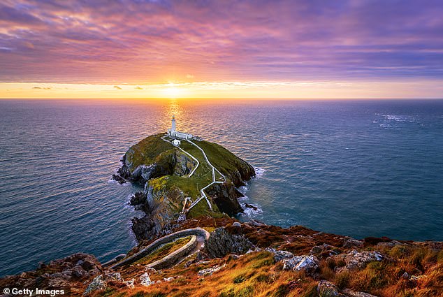 Such an untouched natural haven requires little upkeep, you might suppose. So I raised an eyebrow when I read that the RSPB had received a grant of £3,353.90 from the Welsh taxpayer to maintain their South Stack site