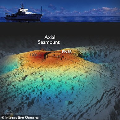 In November 2024, Oregon State University geophysicist William Chadwick started investigating the volcano when he noticed its surface had swelled to nearly the same height it reached before its last eruption 10 years ago