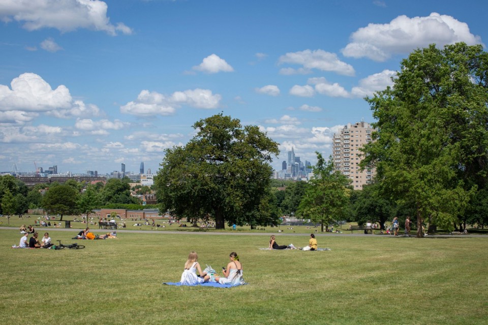 People enjoying a sunny day in Brockwell Park, London, with the city skyline in the background.