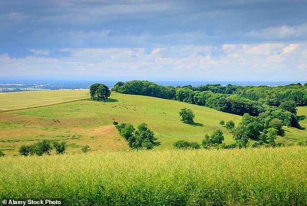 A strong option for the supermax is East Riding, equidistant between York and Hull